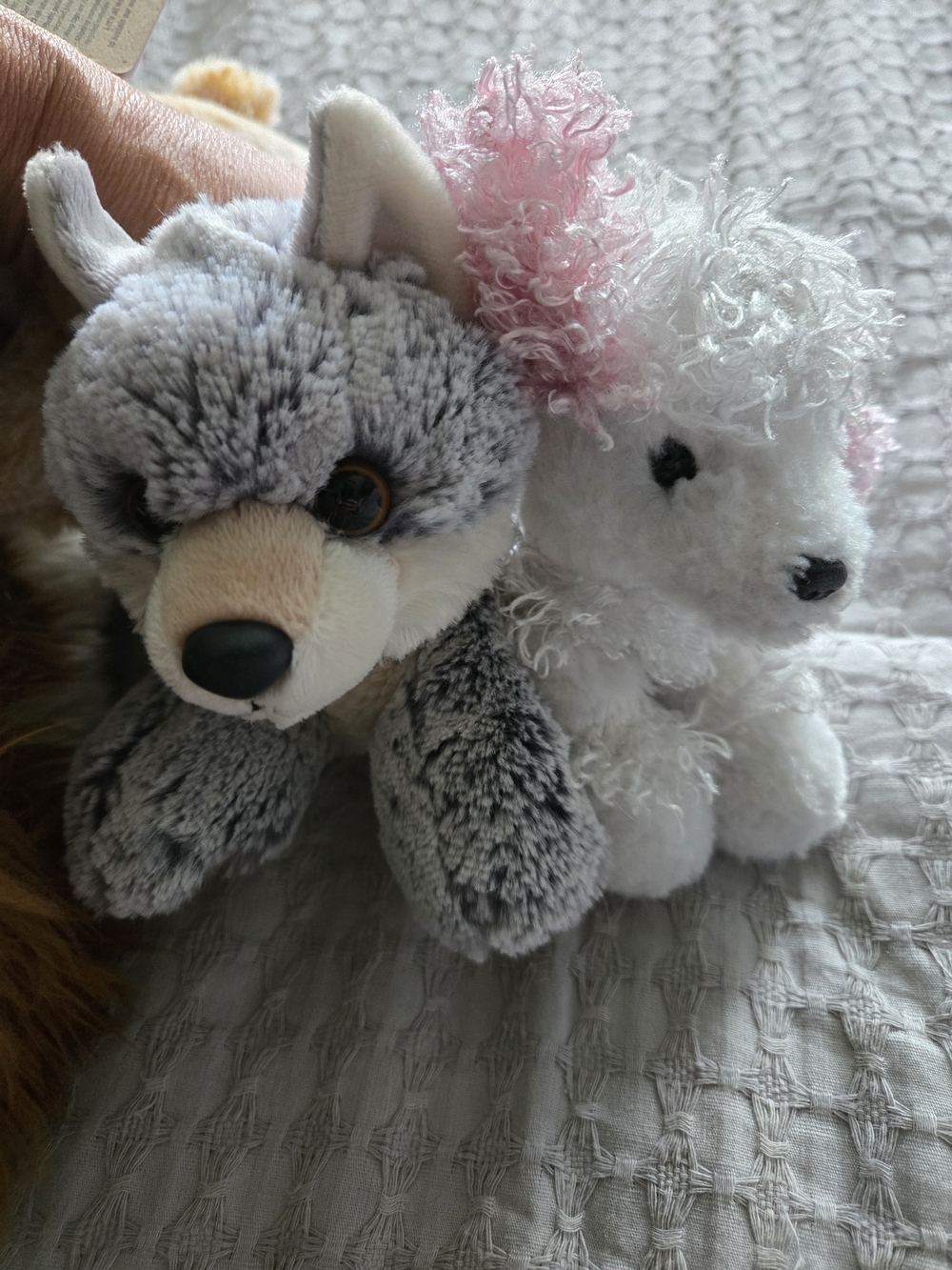 7 Lot! 🐶Aurora & Other Plush Puppy & Dog Stuffed Animal Lot - Picture 2 of 8